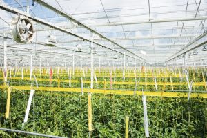 ©Johannes Schwartz, Architekturmuseum der TUM