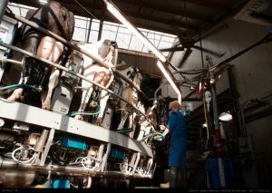 ©Nikolai Huber, Architekturmuseum der TUM